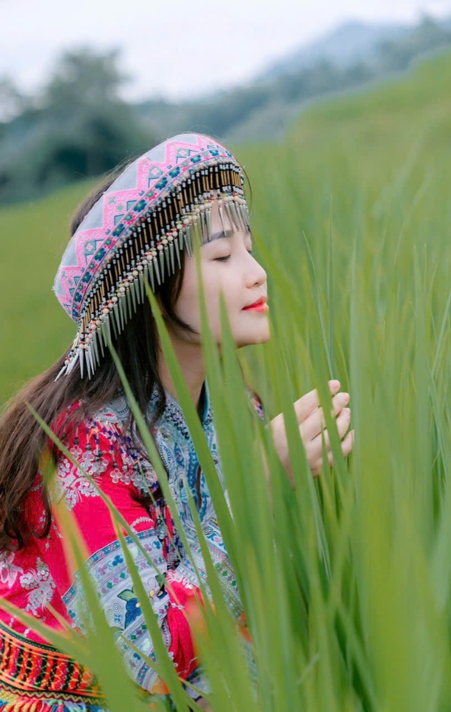 Cô Nga giữa đồng lúa xanh